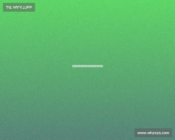 云达不来梅：德甲强队崛起之路与未来发展展望